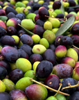 Experience Image