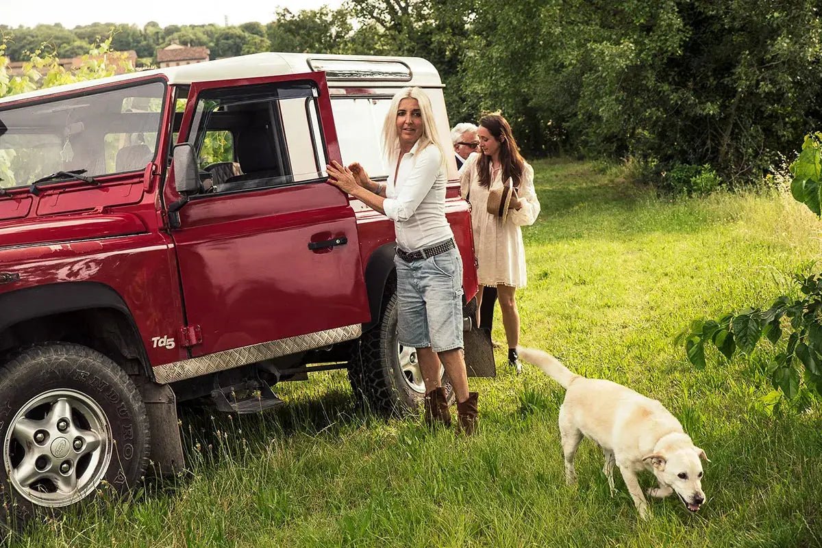 4x4 Vineyard Tour with WineTasting Experience - Wine Tasting - Touraround