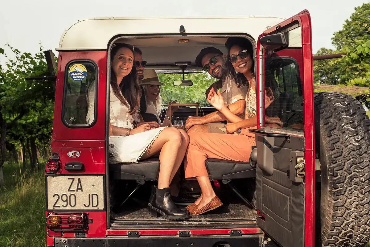 4x4 Vineyard Tour with WineTasting Experience - Wine Tasting - Touraround