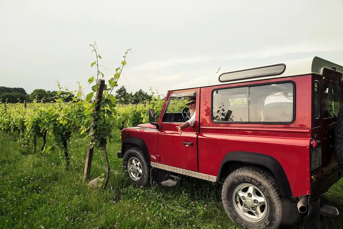 4x4 Vineyard Tour with WineTasting Experience - Wine Tasting - Touraround