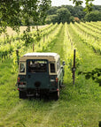 4x4 Vineyard Tour with WineTasting Experience - Wine Tasting - Touraround