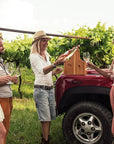 4x4 Vineyard Tour with WineTasting Experience - Wine Tasting - Touraround