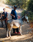 Experience Image