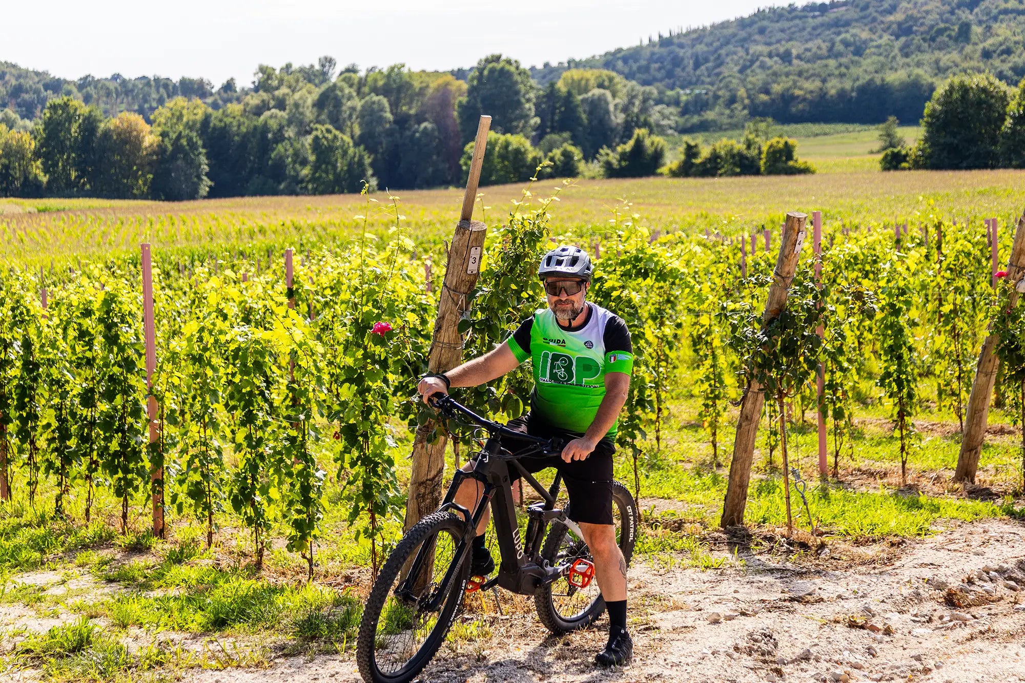 E-Bike tour with Wine tasting from Salò - Touraround