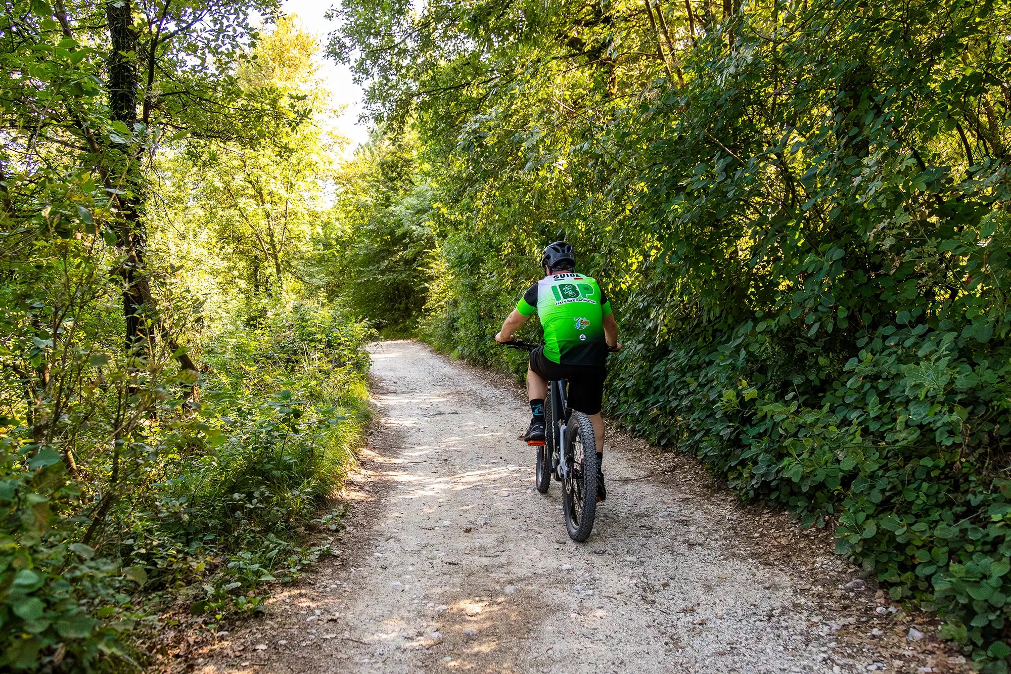 E-Bike tour with Wine tasting from Salò - Touraround