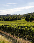 E-Bike tour with Wine tasting from Salò - Touraround
