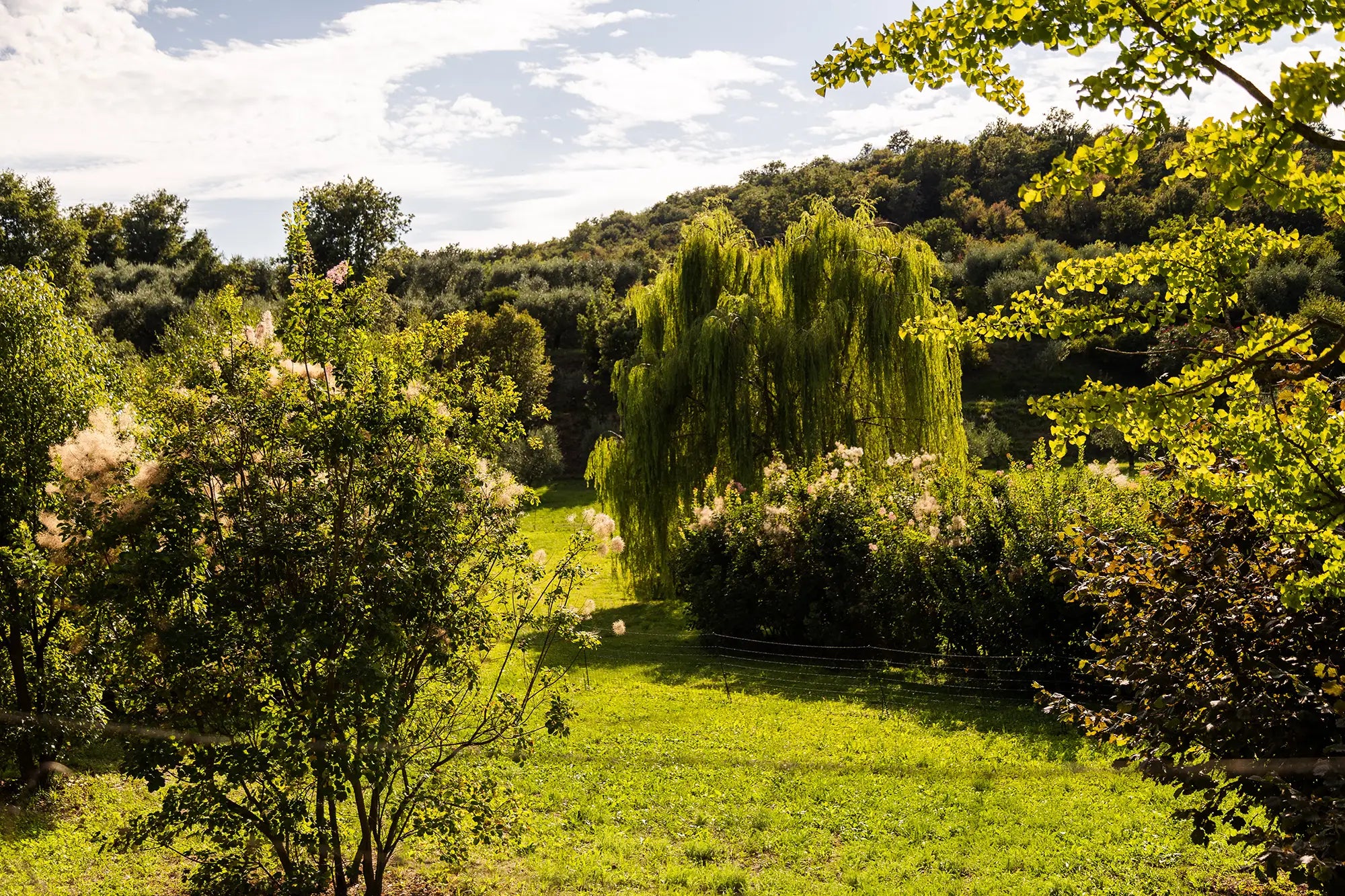 E-Bike tour with Wine tasting from Salò - Touraround