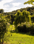 E-Bike tour with Wine tasting from Salò - Touraround