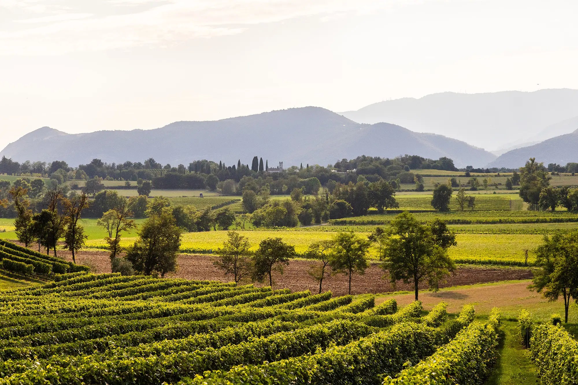 E-Bike tour with Wine tasting from Salò - Touraround