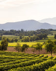 E-Bike tour with Wine tasting from Salò - Touraround
