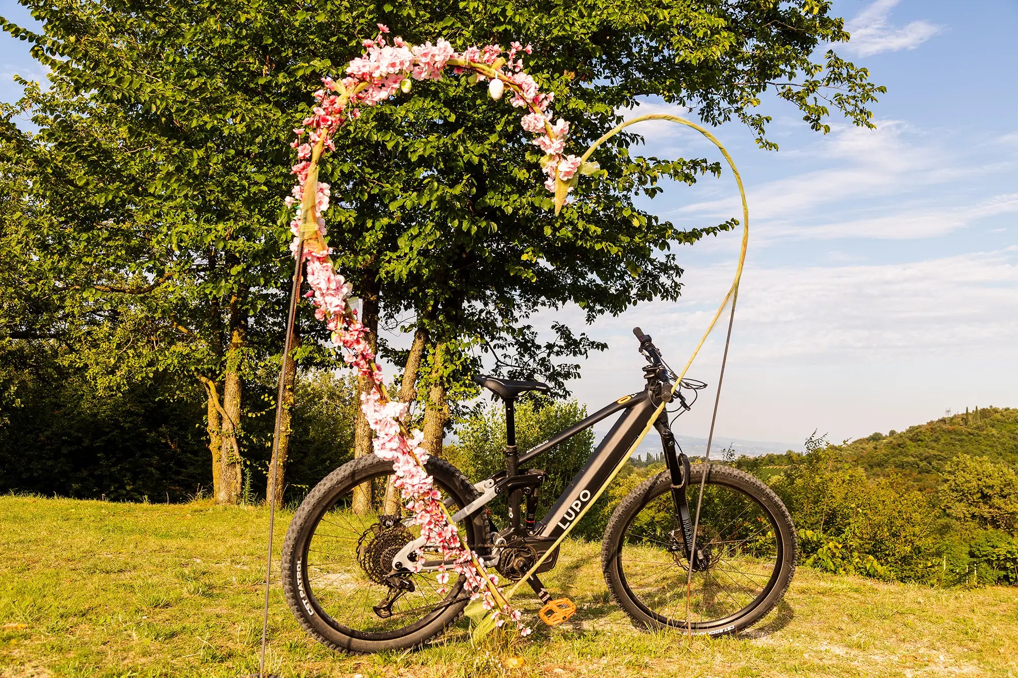 E-Bike tour with Wine tasting from Salò - Touraround