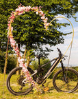 E-Bike tour with Wine tasting from Salò - Touraround