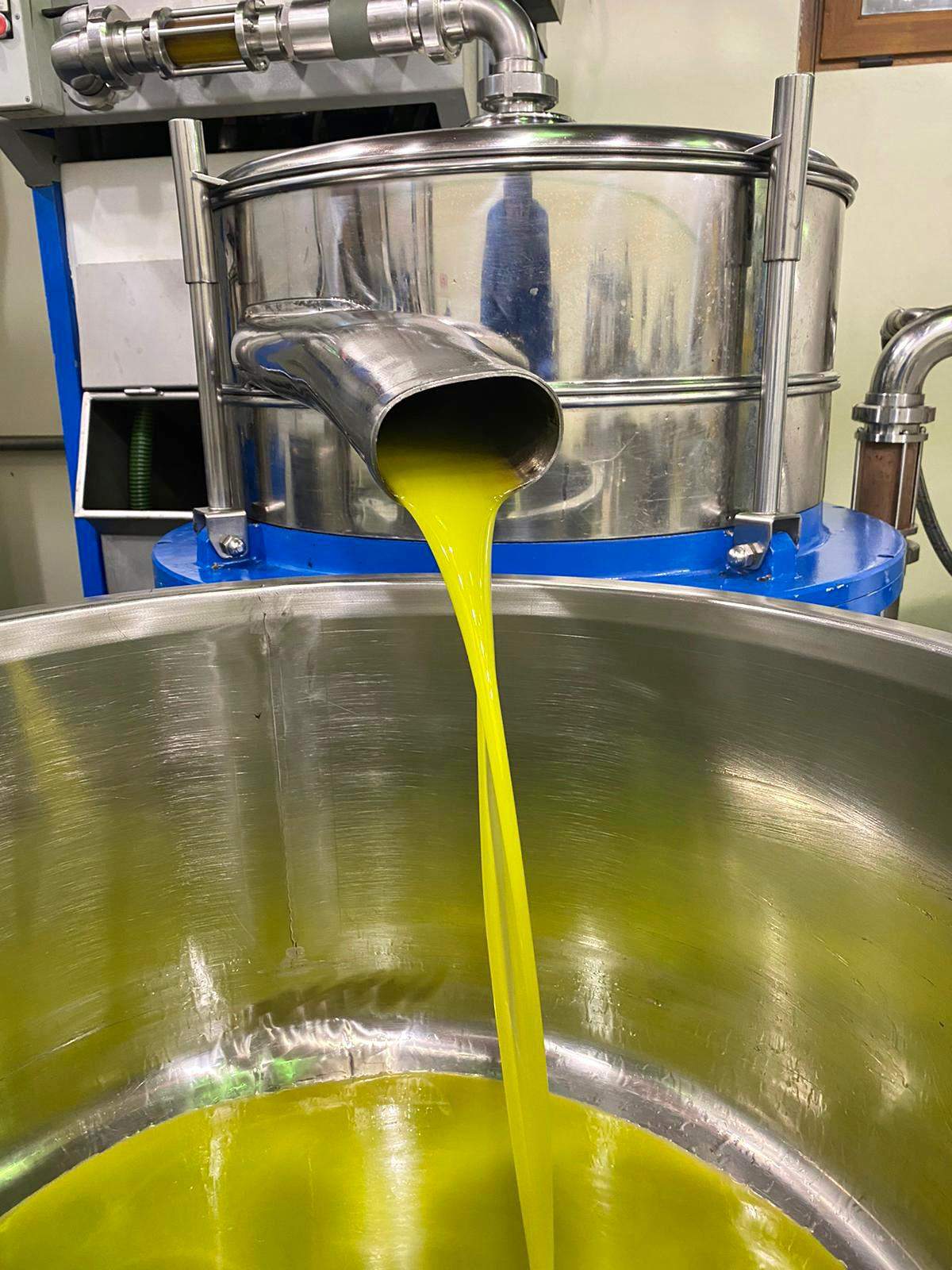 Lake Garda Olive Oil Tour & Tasting with Panoramic Views - Touraround