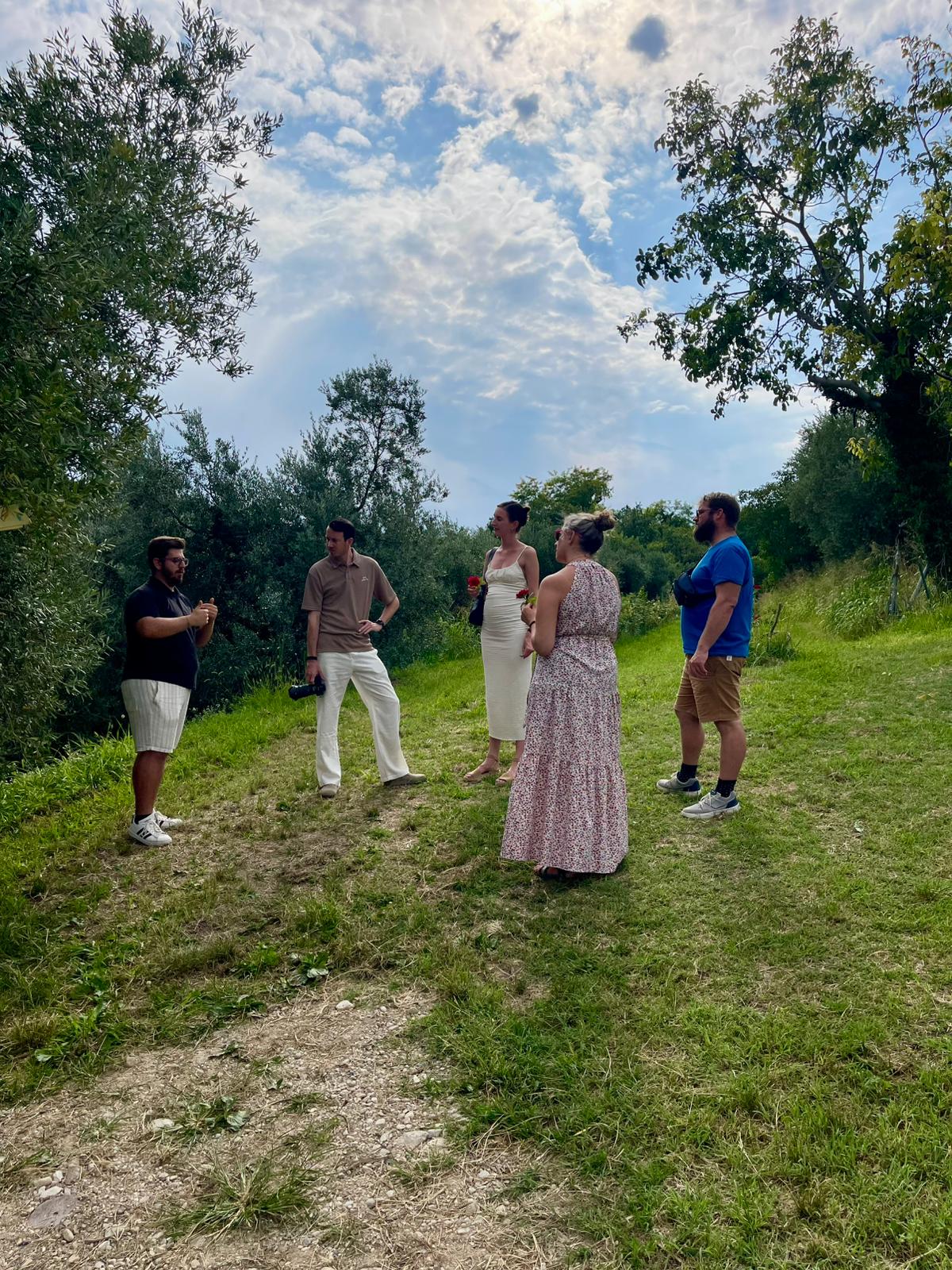 Lake Garda Olive Oil Tour & Tasting with Panoramic Views - Touraround