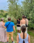 Olive grove tour garda