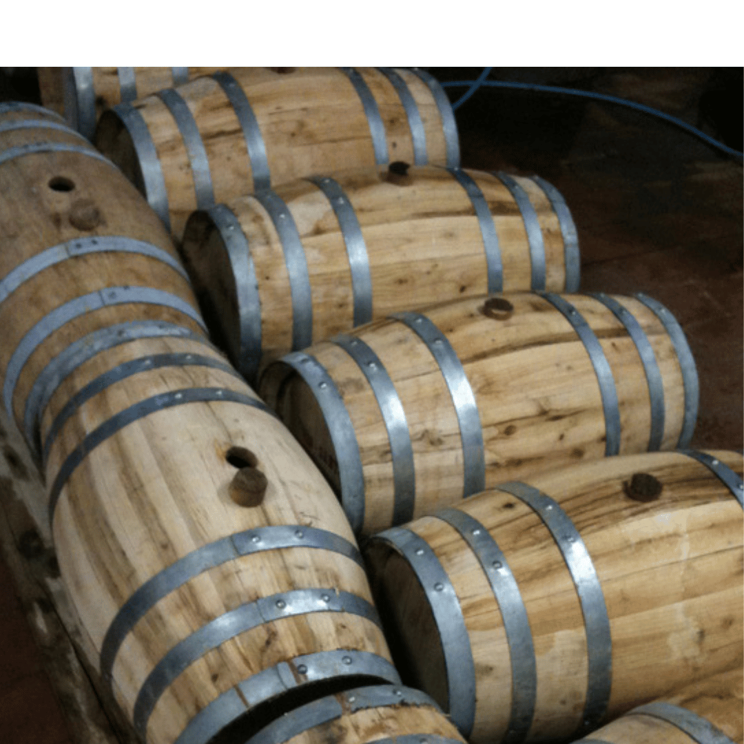 Arezzo: Boutique Winery Visit & Wine Tasting - Wine Tasting - Touraround
