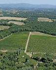 Arezzo: Boutique Winery Visit & Wine Tasting - Wine Tasting - Touraround