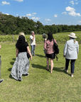 Arezzo: Boutique Winery Visit & Wine Tasting - Wine Tasting - Touraround