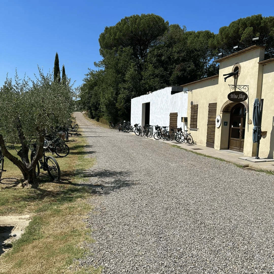Arezzo: Boutique Winery Visit & Wine Tasting - Wine Tasting - Touraround