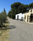 Arezzo: Boutique Winery Visit & Wine Tasting - Wine Tasting - Touraround