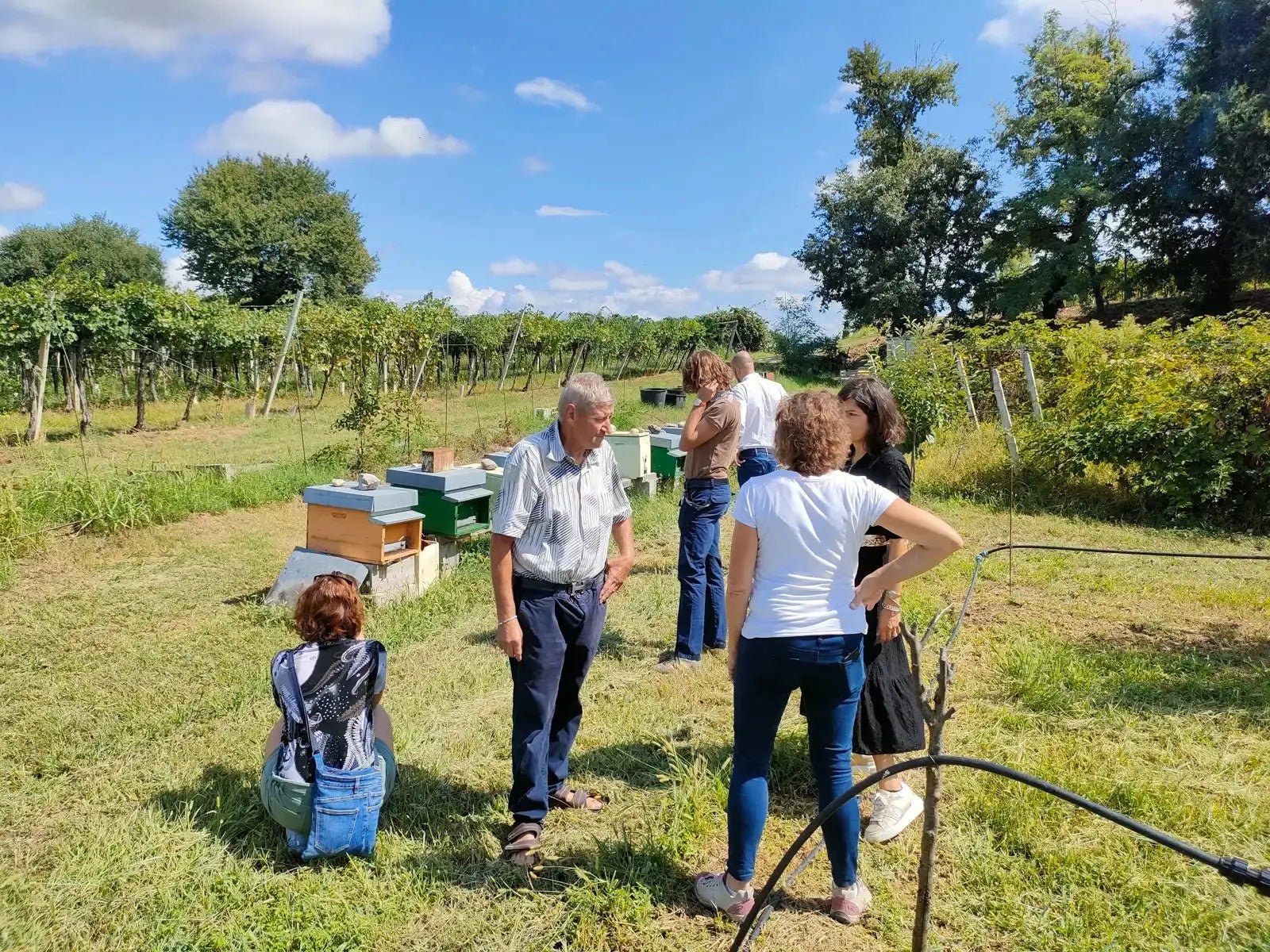 Beekeeping Farm Tour and Tasting Experience - Farm Tour - Touraround