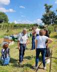 Beekeeping Farm Tour and Tasting Experience - Farm Tour - Touraround