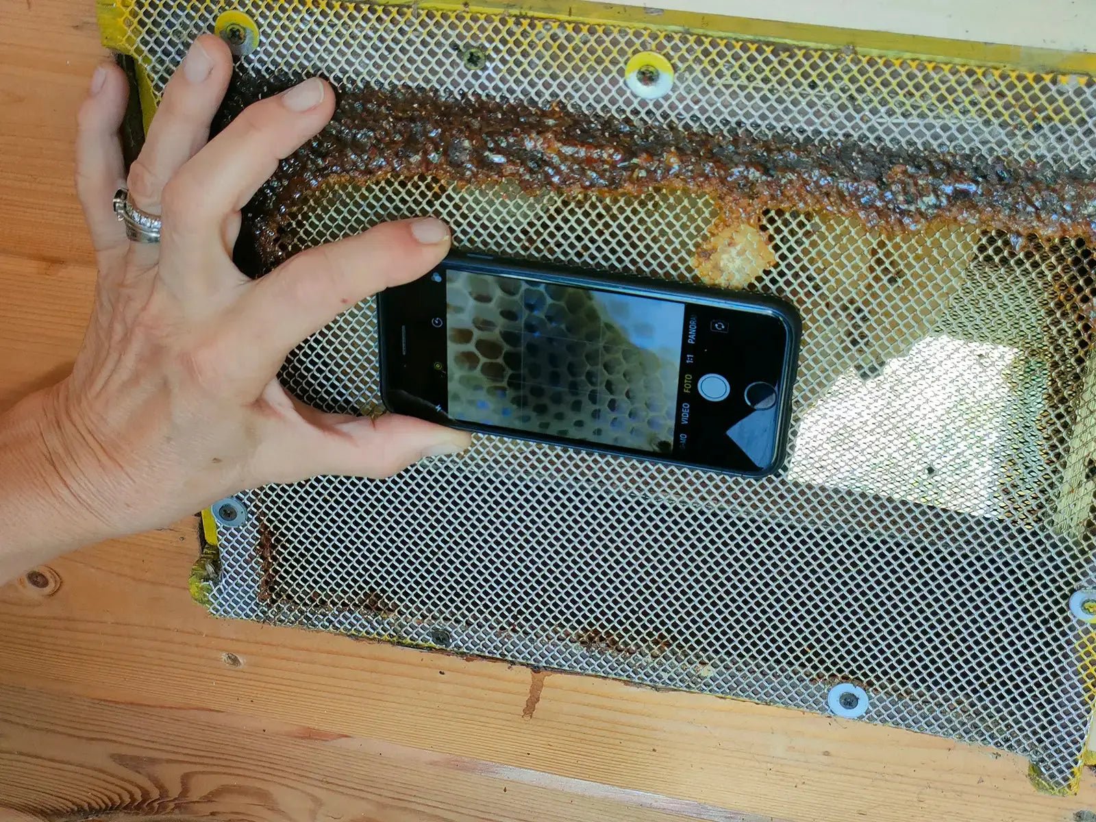 Beekeeping Farm Tour and Tasting Experience - Farm Tour - Touraround