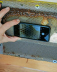 Beekeeping Farm Tour and Tasting Experience - Farm Tour - Touraround