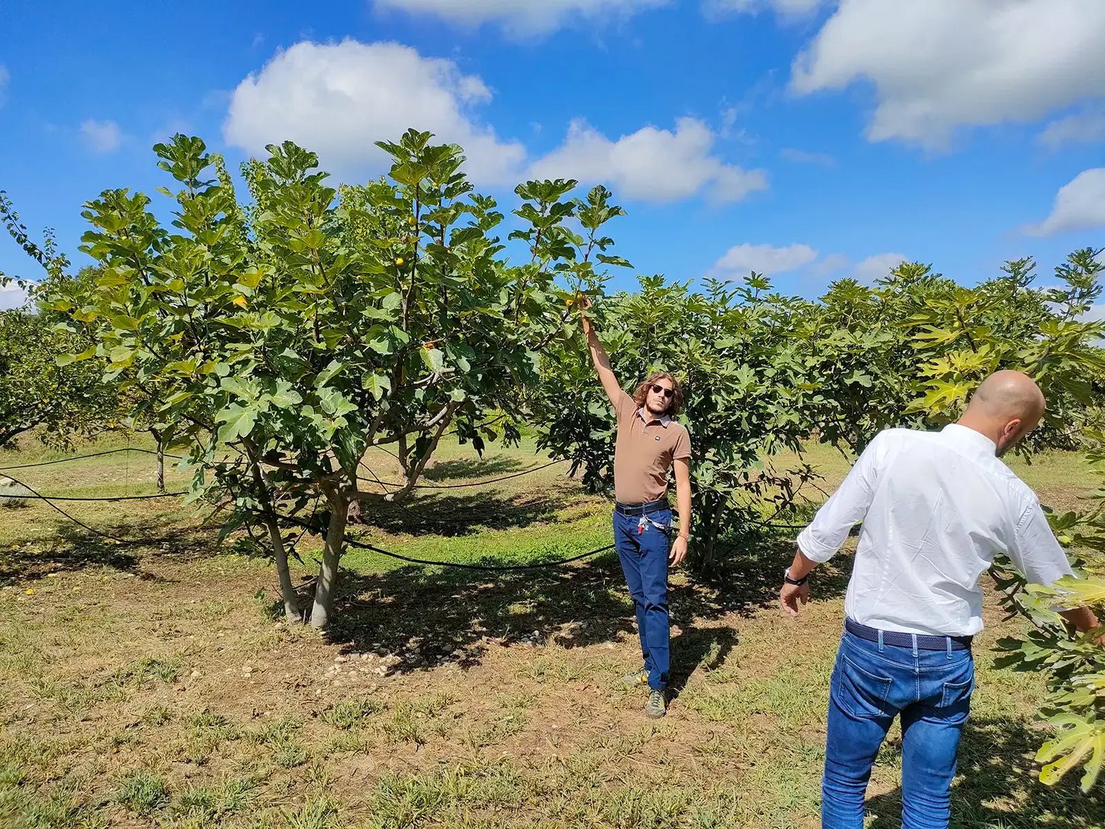 Beekeeping Farm Tour and Tasting Experience - Farm Tour - Touraround