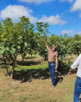 Beekeeping Farm Tour and Tasting Experience - Farm Tour - Touraround