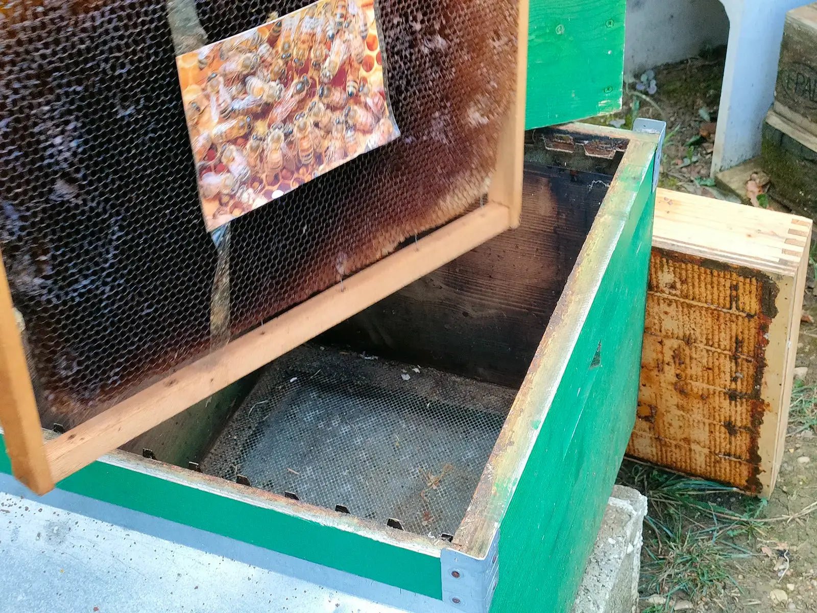 Beekeeping Farm Tour and Tasting Experience - Farm Tour - Touraround