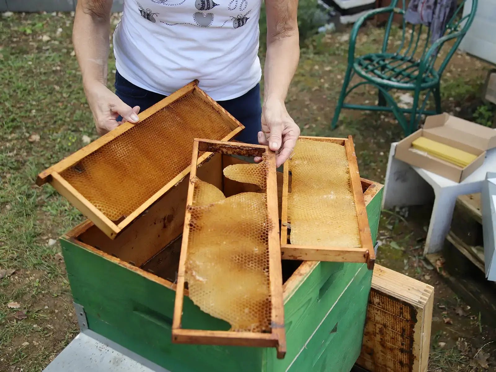 Beekeeping Farm Tour and Tasting Experience - Farm Tour - Touraround