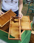 Beekeeping Farm Tour and Tasting Experience - Farm Tour - Touraround