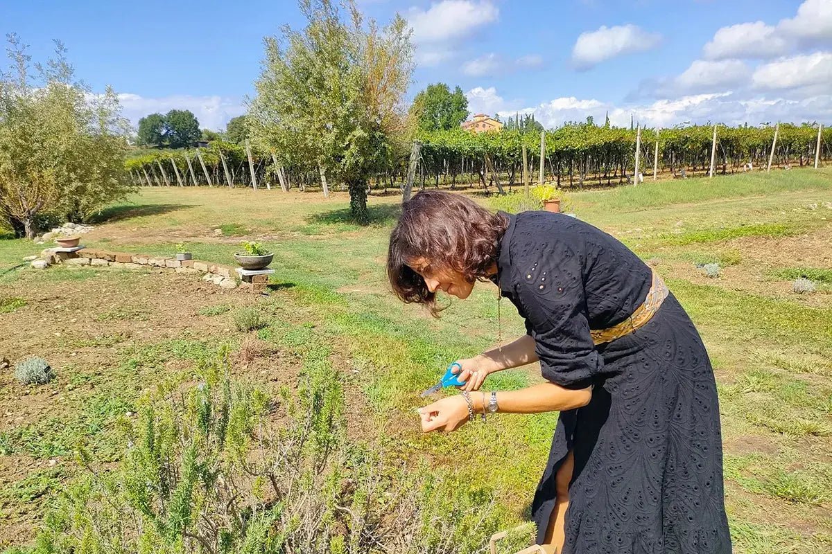 Beekeeping Farm Tour and Tasting Experience - Farm Tour - Touraround