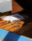 Beekeeping Farm Tour and Tasting Experience - Farm Tour - Touraround