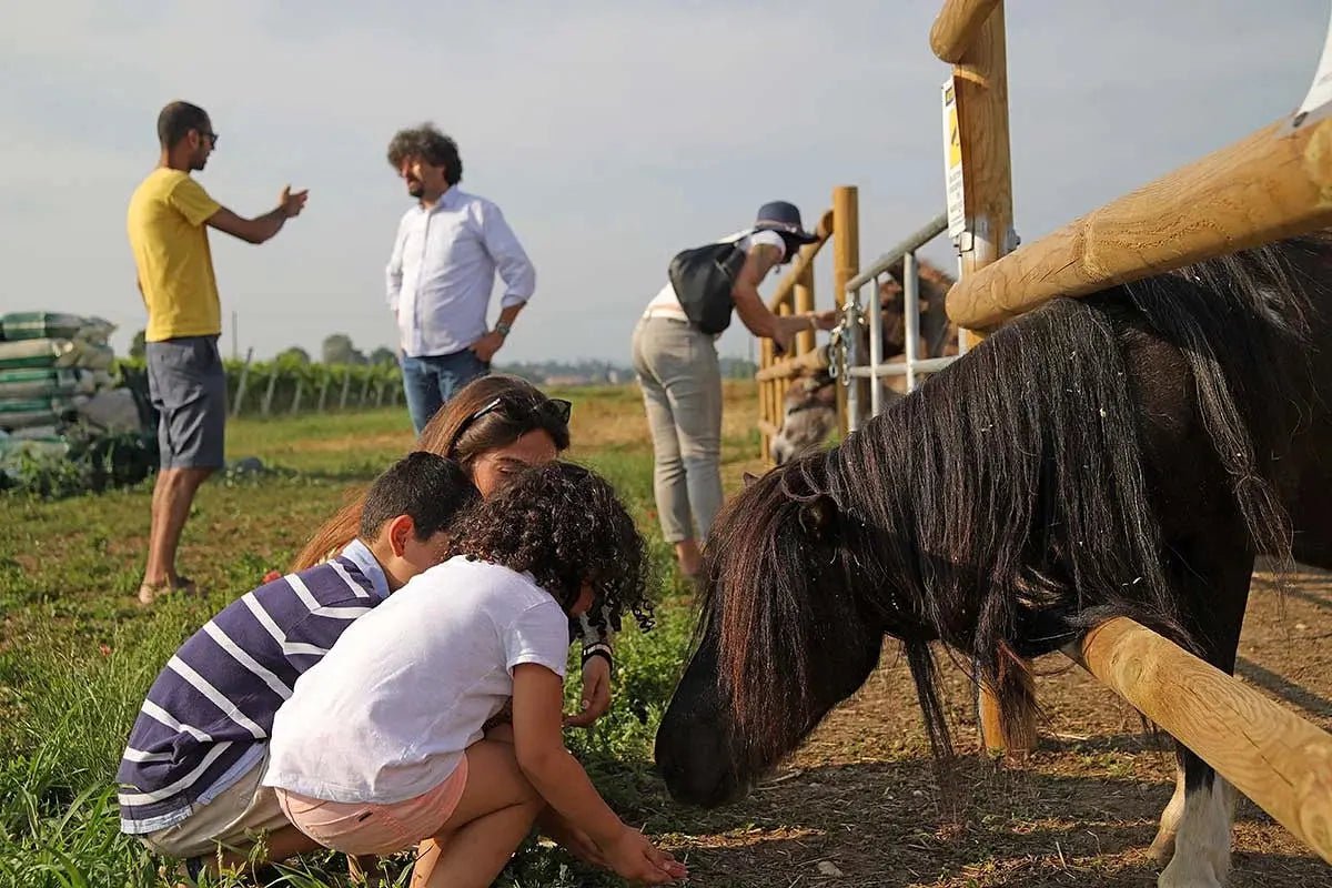 Biodynamic Farm and Natural Wines Tasting - Wine Tasting - Touraround
