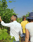 Biodynamic Farm and Natural Wines Tasting - Wine Tasting - Touraround