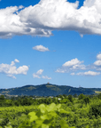 Bologna: Boutique Winery Tour with Wine Tasting & Food Platter - Wine Tasting - Touraround