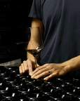 Bologna: Boutique Winery Tour with Wine Tasting & Food Platter - Wine Tasting - Touraround