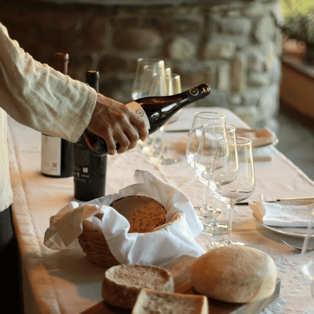 Boutique Winery Tour & Tasting in North Tuscany - Wine Tasting - Touraround