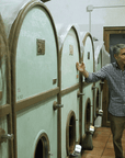 Boutique Winery Tour & Tasting in North Tuscany - Wine Tasting - Touraround