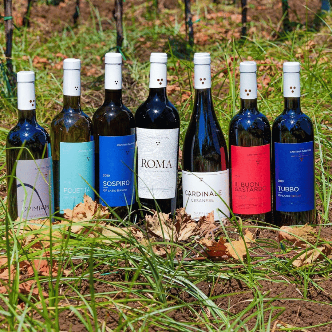 Boutique Winery Visit & Tasting near Rome - Wine Tasting - Touraround
