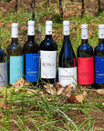 Boutique Winery Visit & Tasting near Rome - Wine Tasting - Touraround