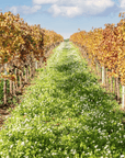 Boutique Winery Visit & Tasting near Rome - Wine Tasting - Touraround