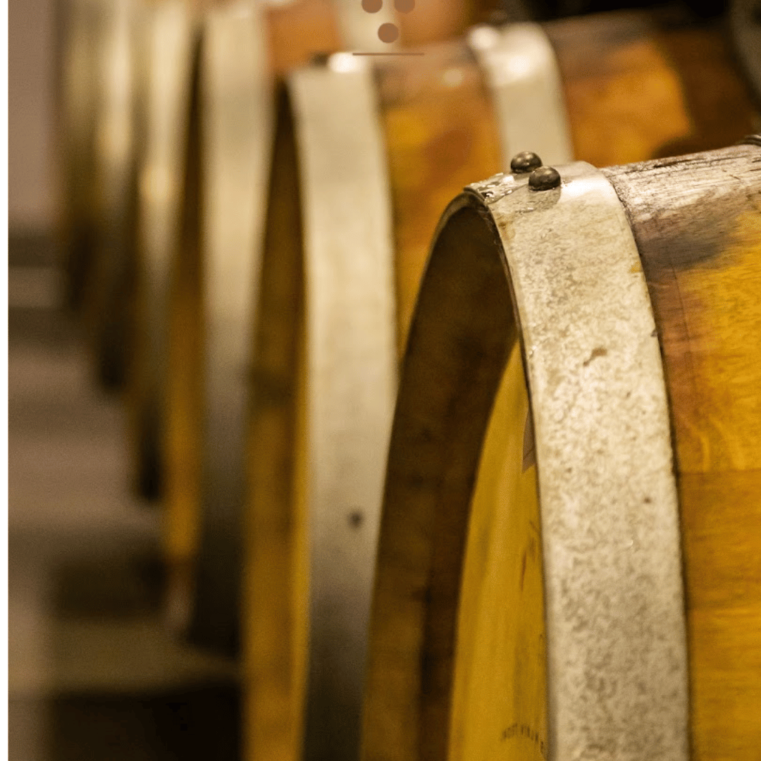 Boutique Winery Visit & Tasting near Rome - Wine Tasting - Touraround