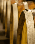 Boutique Winery Visit & Tasting near Rome - Wine Tasting - Touraround