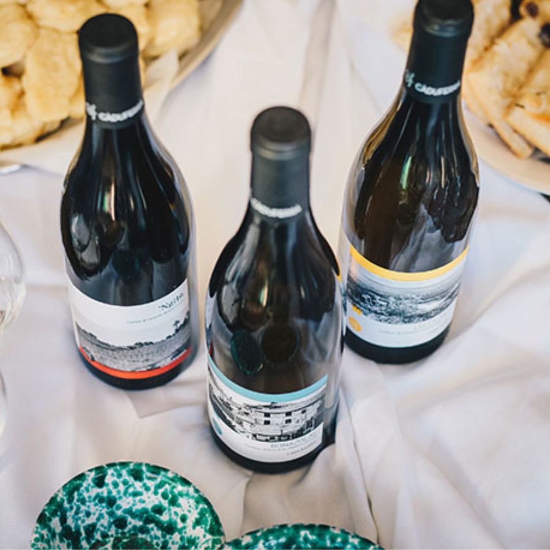 Boutique Winery Visit with Food & Wine Tastings in Cinque Terre - Wine Tasting - Touraround
