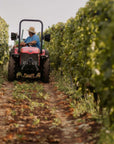 Boutique Winery Visit with Food & Wine Tastings in Cinque Terre - Wine Tasting - Touraround