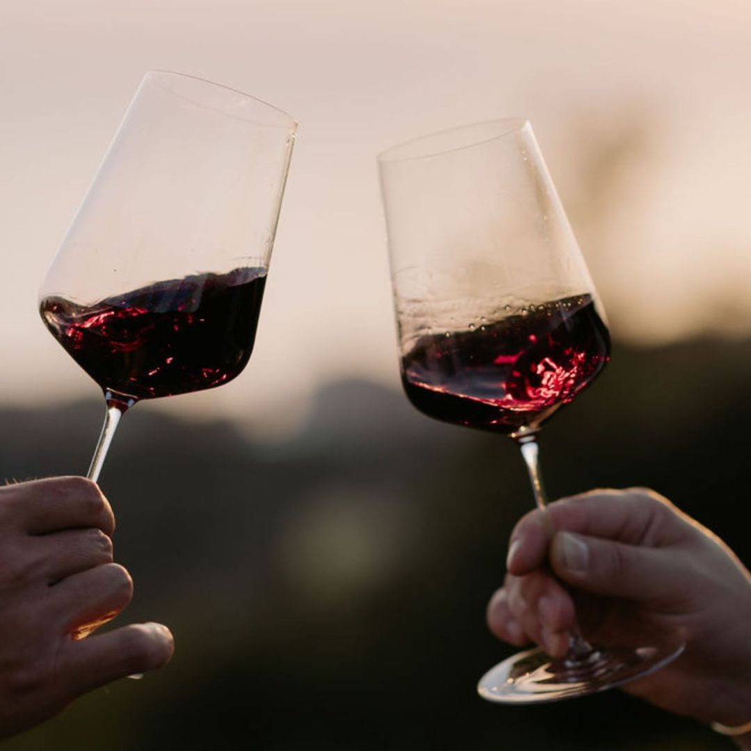 Boutique Winery Visit with Food & Wine Tastings in Cinque Terre - Wine Tasting - Touraround