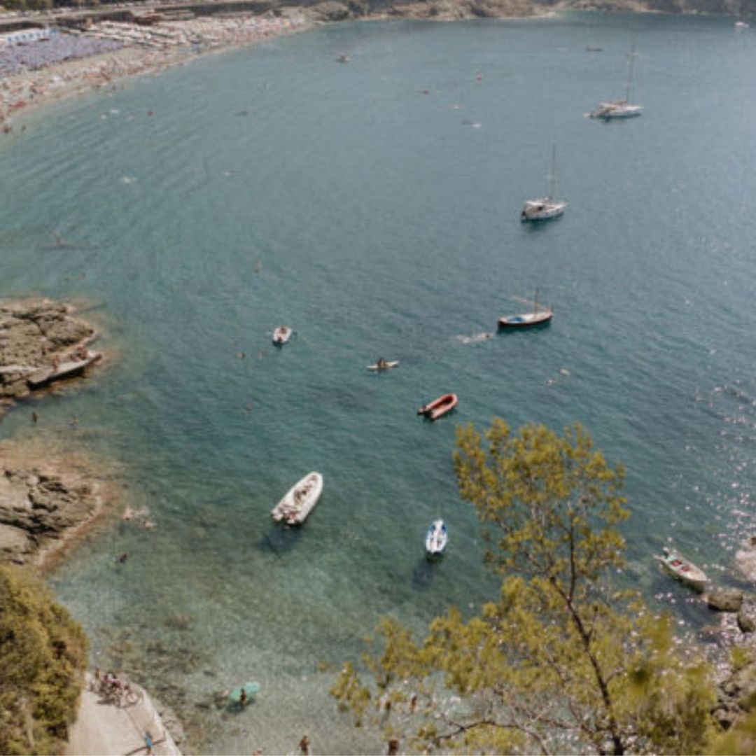 Boutique Winery Visit with Food & Wine Tastings in Cinque Terre - Wine Tasting - Touraround